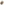 
        Anywhere Dog Crate in Beige
      