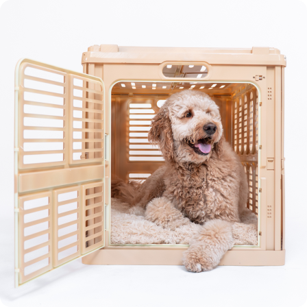 Standard Pet Crate