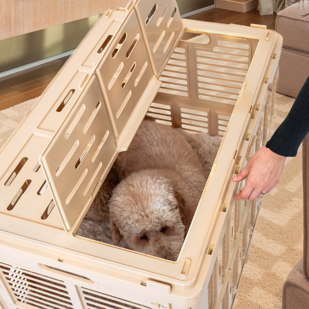 Standard Pet Crate