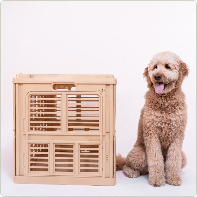 Standard Pet Crate