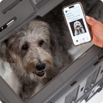 Deposit for Smart Pet Crate